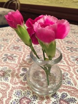 IMG_0520