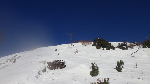 RIMG2753