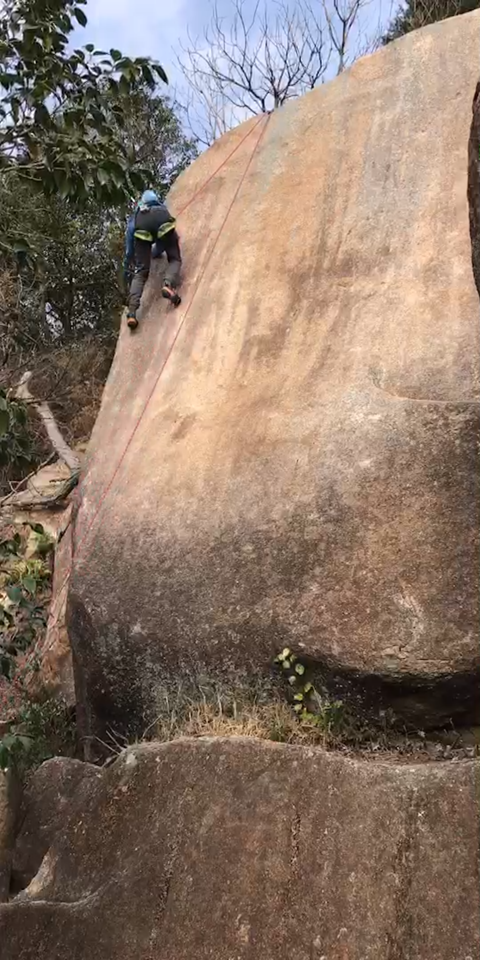 Screenshot_2019-01-08-16-50-39