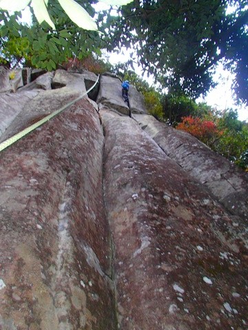 PC091250