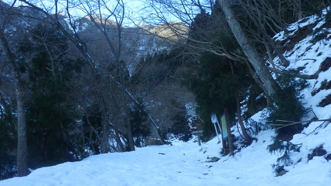 RIMG2810