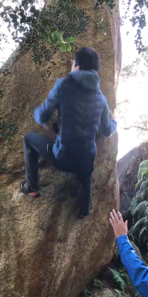 Screenshot_2019-01-08-16-30-27