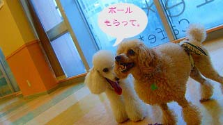 �ҥ��ҥ��ä�������