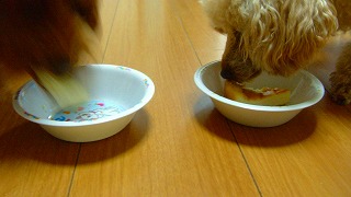 �ѥ��ѥ������������⥰�⥰��������