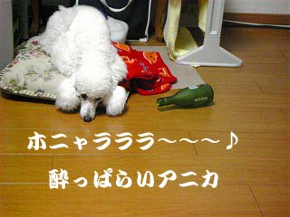 ���ʧ����