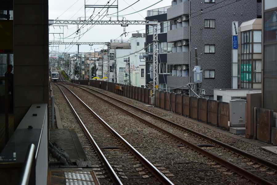 DSC_4770