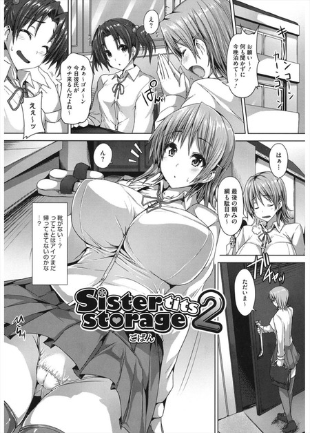 sister storage 2