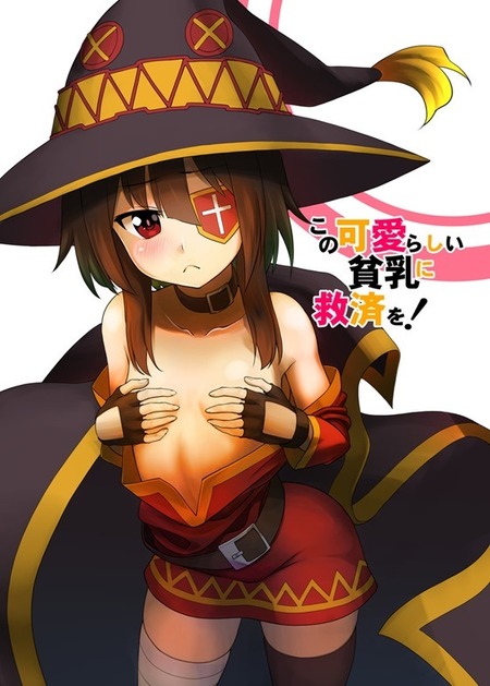 この可愛らしい貧乳に救済を