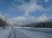 IMG_8498