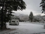 IMG_8805