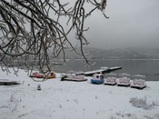 IMG_8773