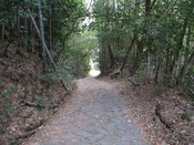 IMG_7779