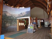 IMG_8554