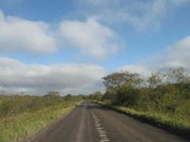 IMG_6490