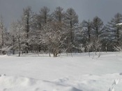 IMG_8508
