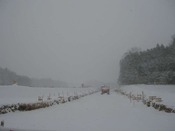 IMG_8658