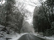 IMG_8743