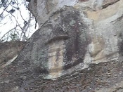 ae45ce8c.jpg