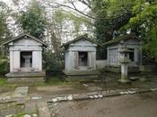 IMG_9811
