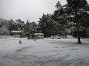 IMG_8807