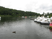 IMG_5562