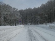 IMG_8507