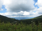 IMG_3051