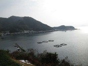 IMG_8338