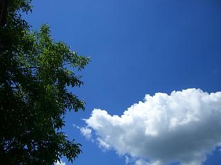 43982a94.jpg