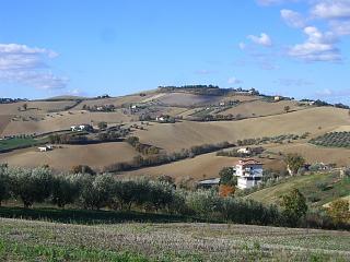 4550f613.jpg