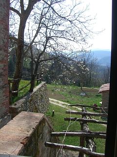 7a556098.jpg