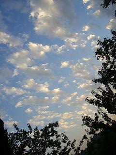 959f01b3.jpg