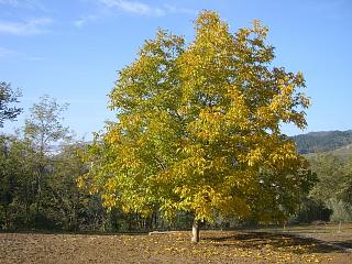 c09779d5.jpg