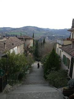 d2649206.jpg