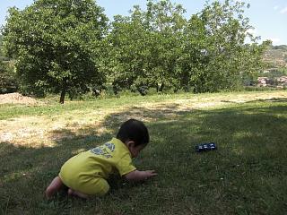 f8cf29d8.jpg