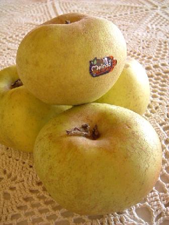 renetta