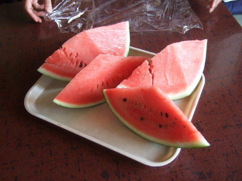DSCF4582