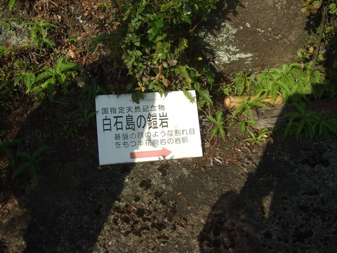 DSCF4557
