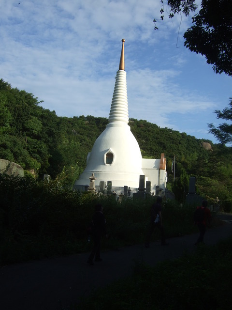 DSCF4564