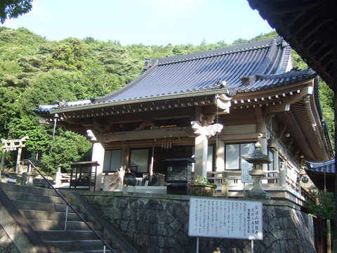 DSCF4567