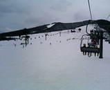 2287d13a.JPG