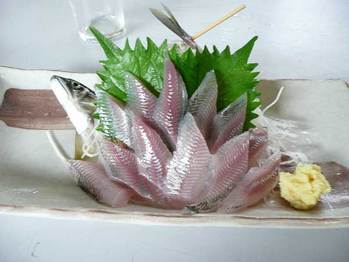 sasimi