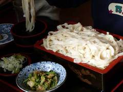 udon