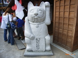 dcd06d46.jpg