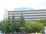 自由民主党