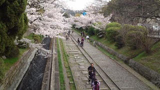 keage-sakura2013