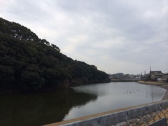 2015-01-26-12-19-06