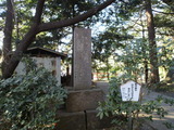 23f2b05a.jpg