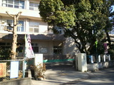 41454dec.jpg