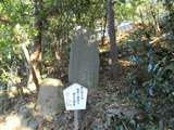 804a6751.jpg